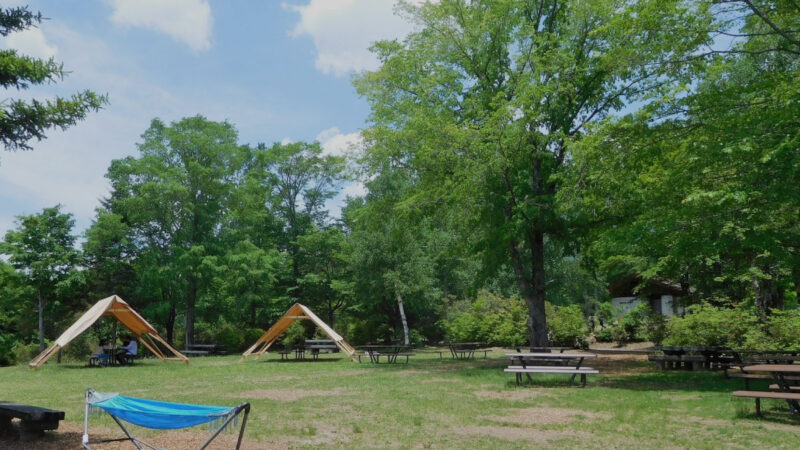 ソロキャンプに最適なキャンプ場・ロケーション　自然豊かな静かなキャンプ場の紹介