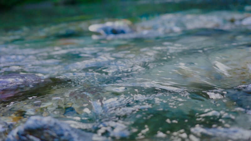 キャンプ中に熱中症になった場合の対処法と予防策