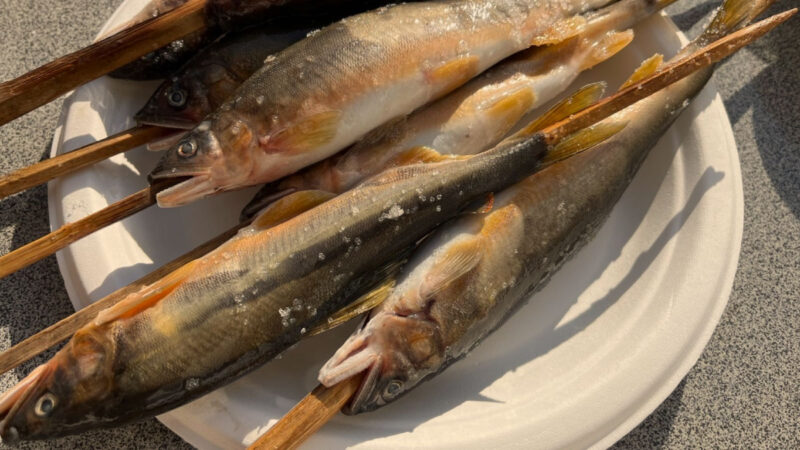 山のキャンプで楽しむ川遊びと、、やっぱり鮎！