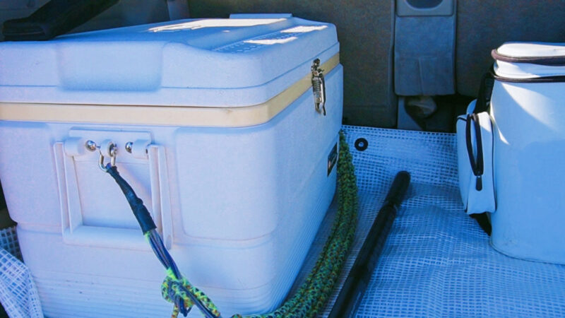 キャンプに最適なクーラーボックスの選び方