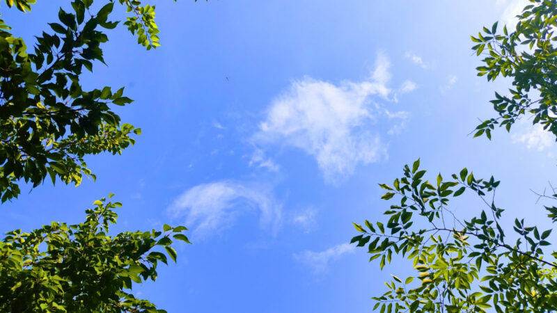 キャンプでの熱中症対策