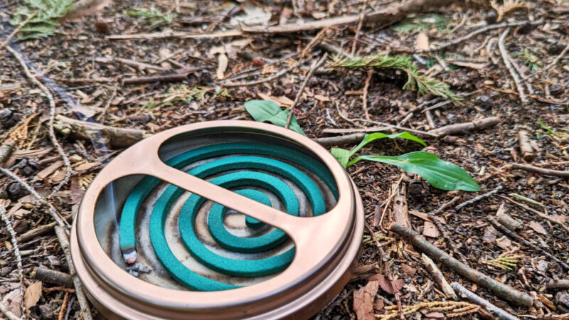 キャンプでの虫除けと虫対策